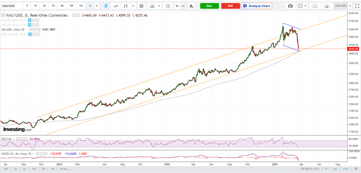 Thomas Titmouse tweet media