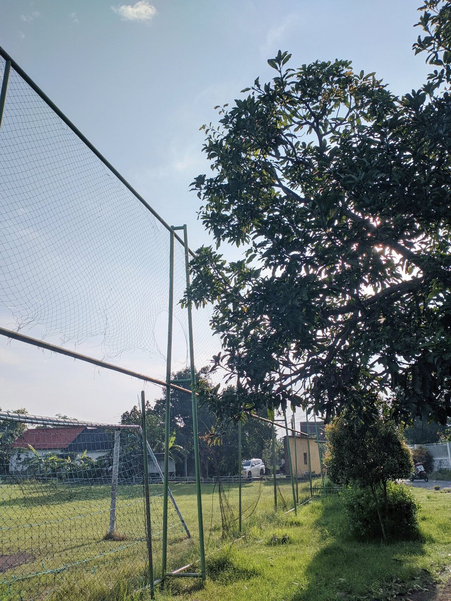 Calesya. tweet media