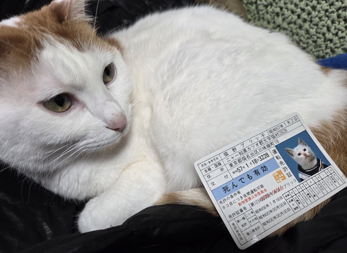 かせつぅa.k.aあっきっく先生 tweet media