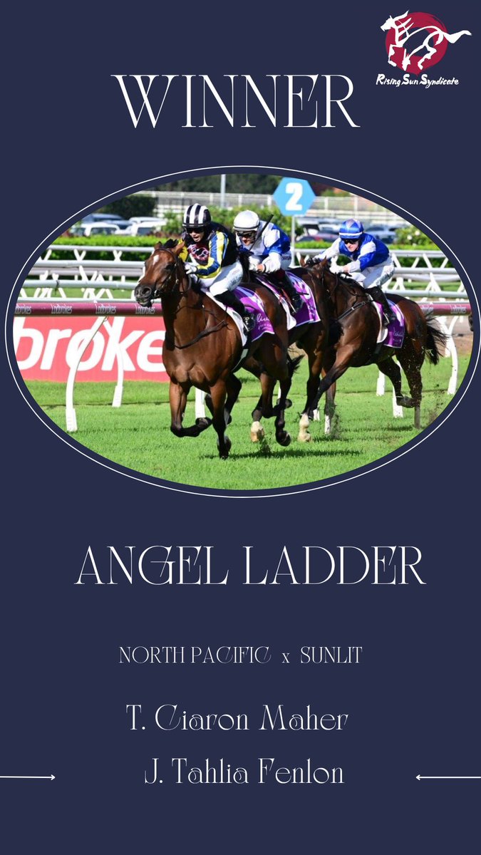 Rising Sun Syndicate 🇦🇺 tweet media