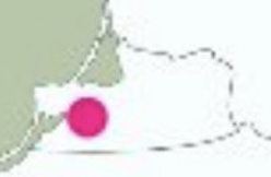 🇺🇦 ✙ bookazoid_ tweet media