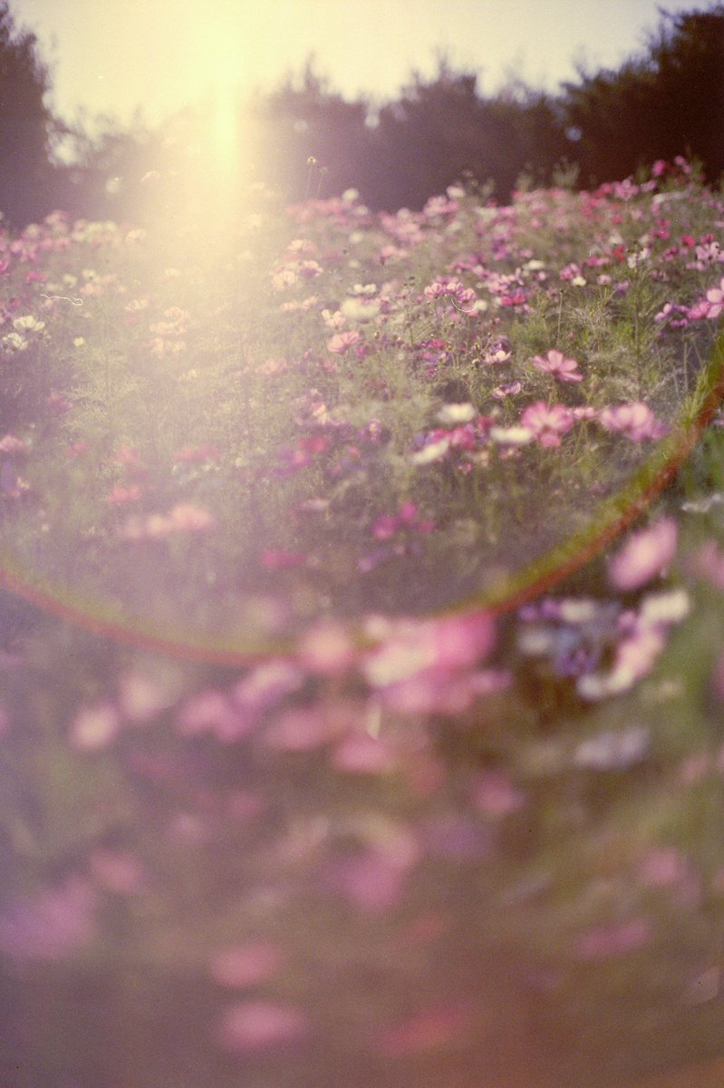 hide_c.life tweet media