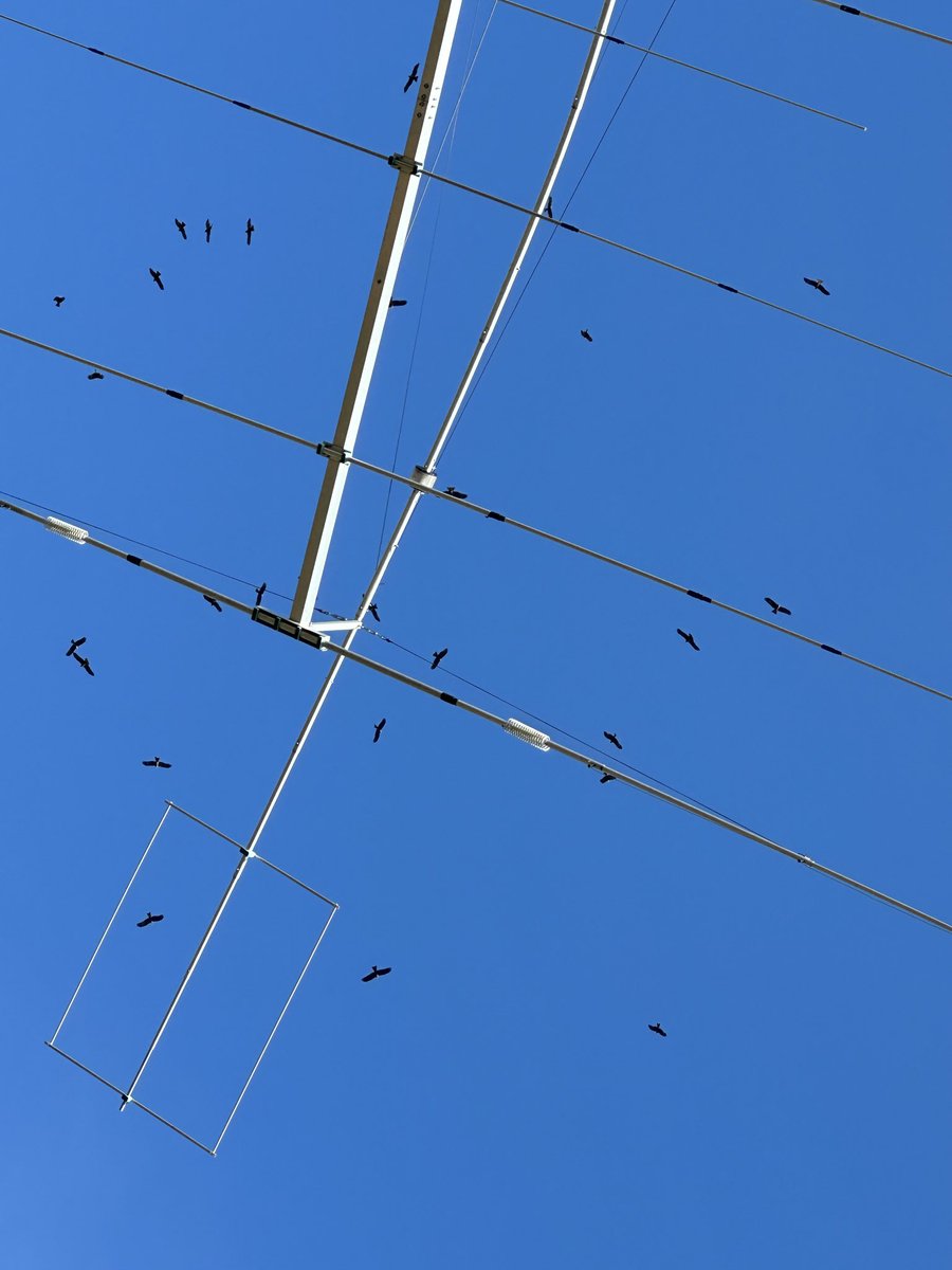 ED7O Contest Station 🇪🇸 tweet media