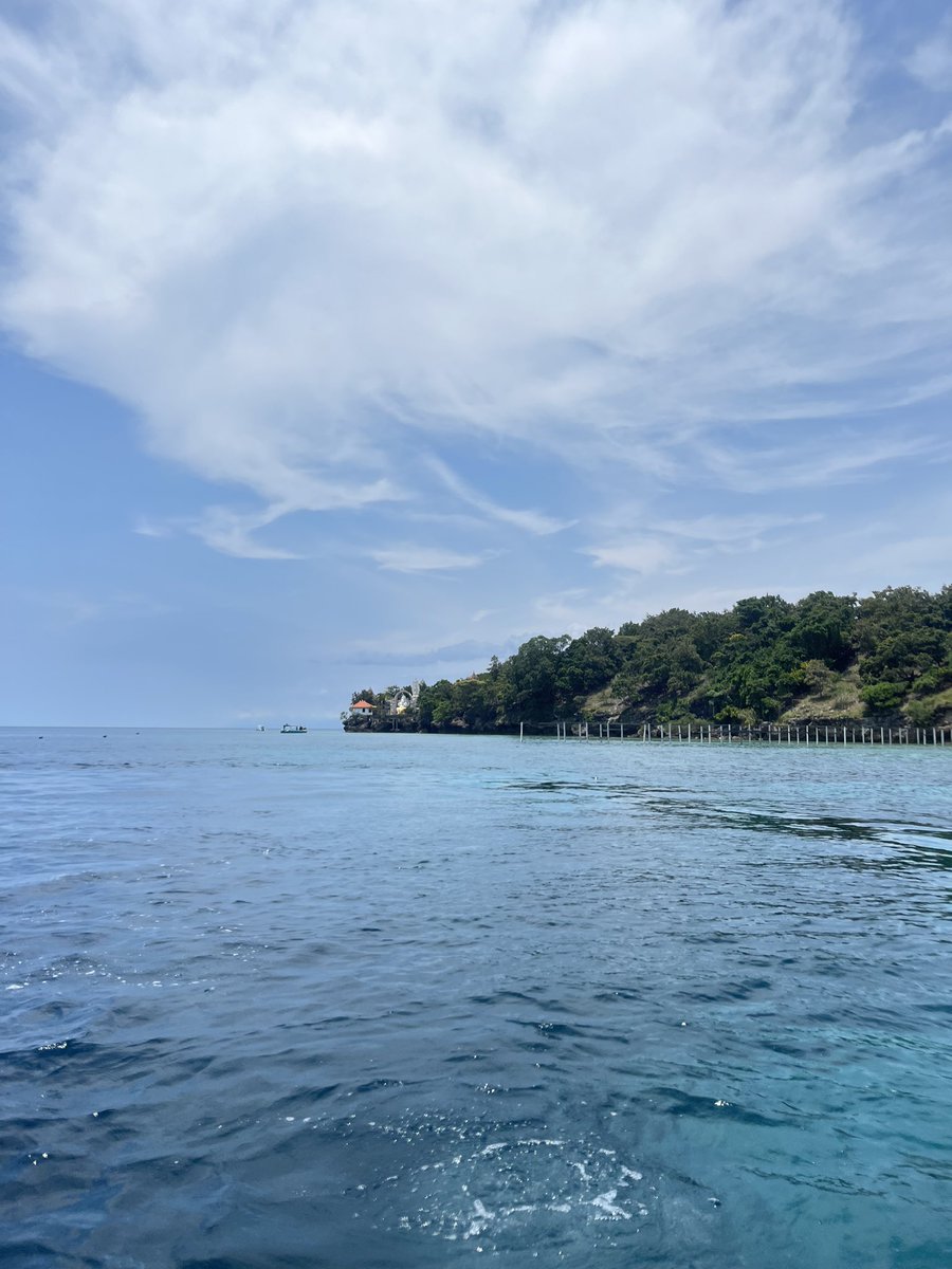 bubu miyo tweet media