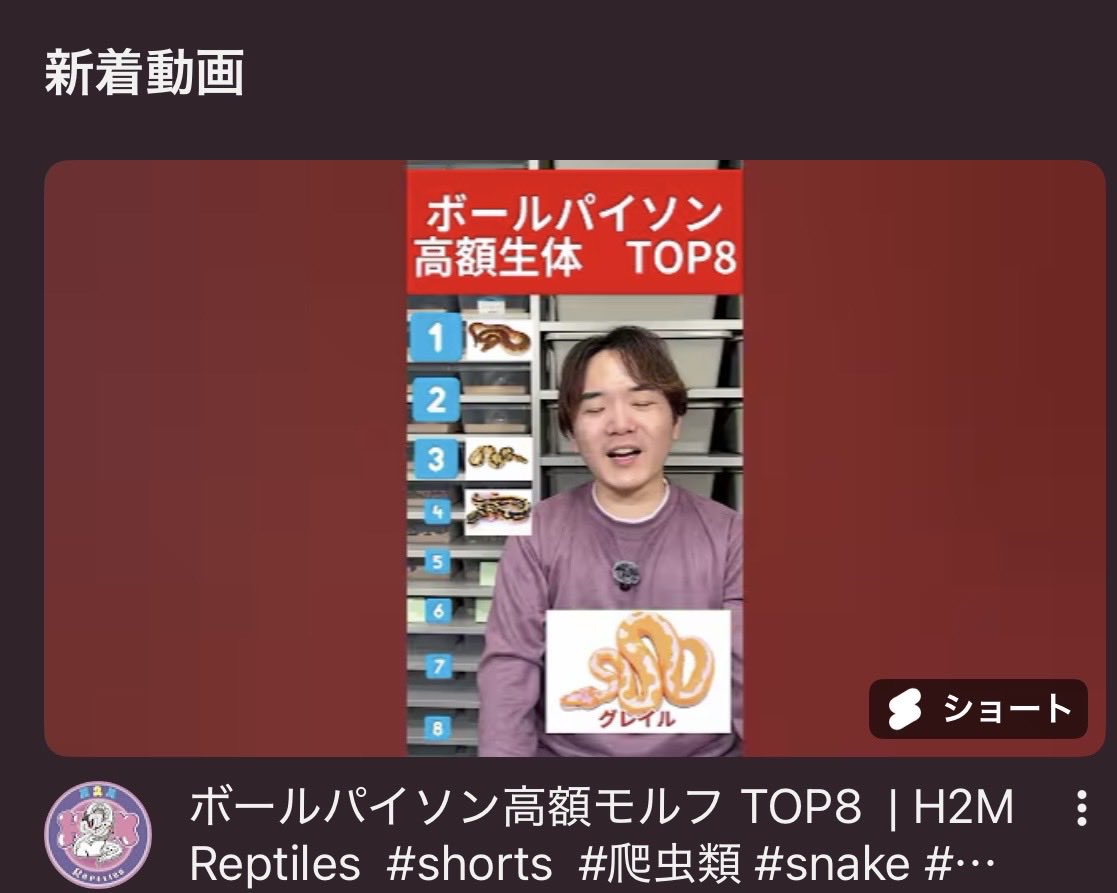 H2M Reptiles tweet media