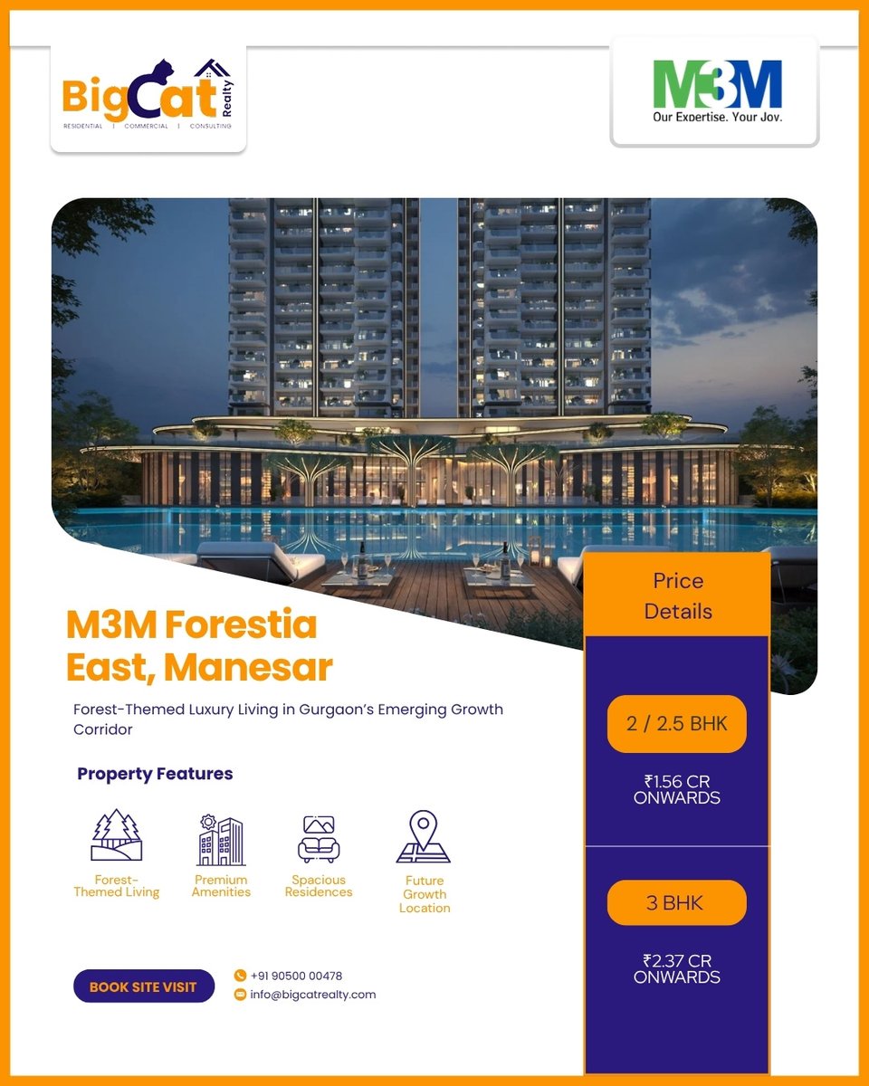 BigCat Realty tweet media