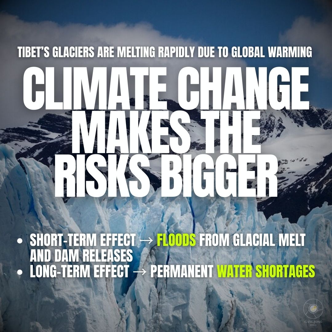 Lhamu dupling tweet media