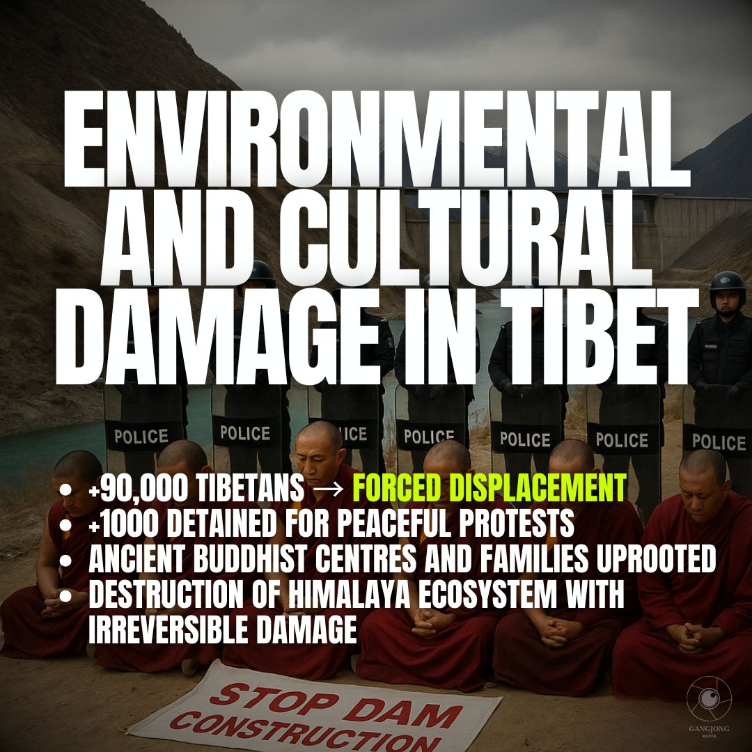 Lhamu dupling tweet media