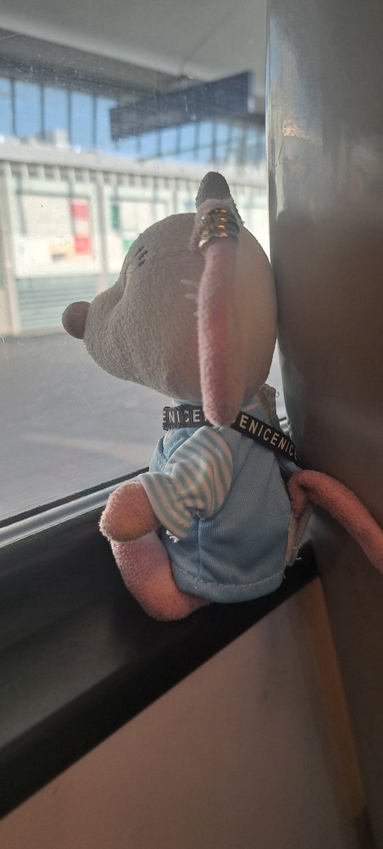 Tilda und die PlüschWG 🐭🦉🙋🏻‍♀️🏳️‍🌈 tweet media