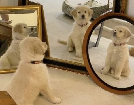 Trending for Aoomtwp tweet media