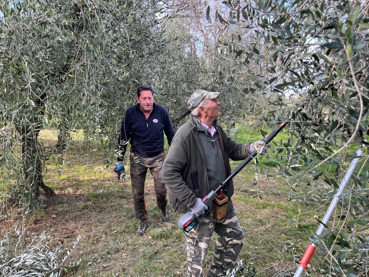 Città dell'Olio tweet media