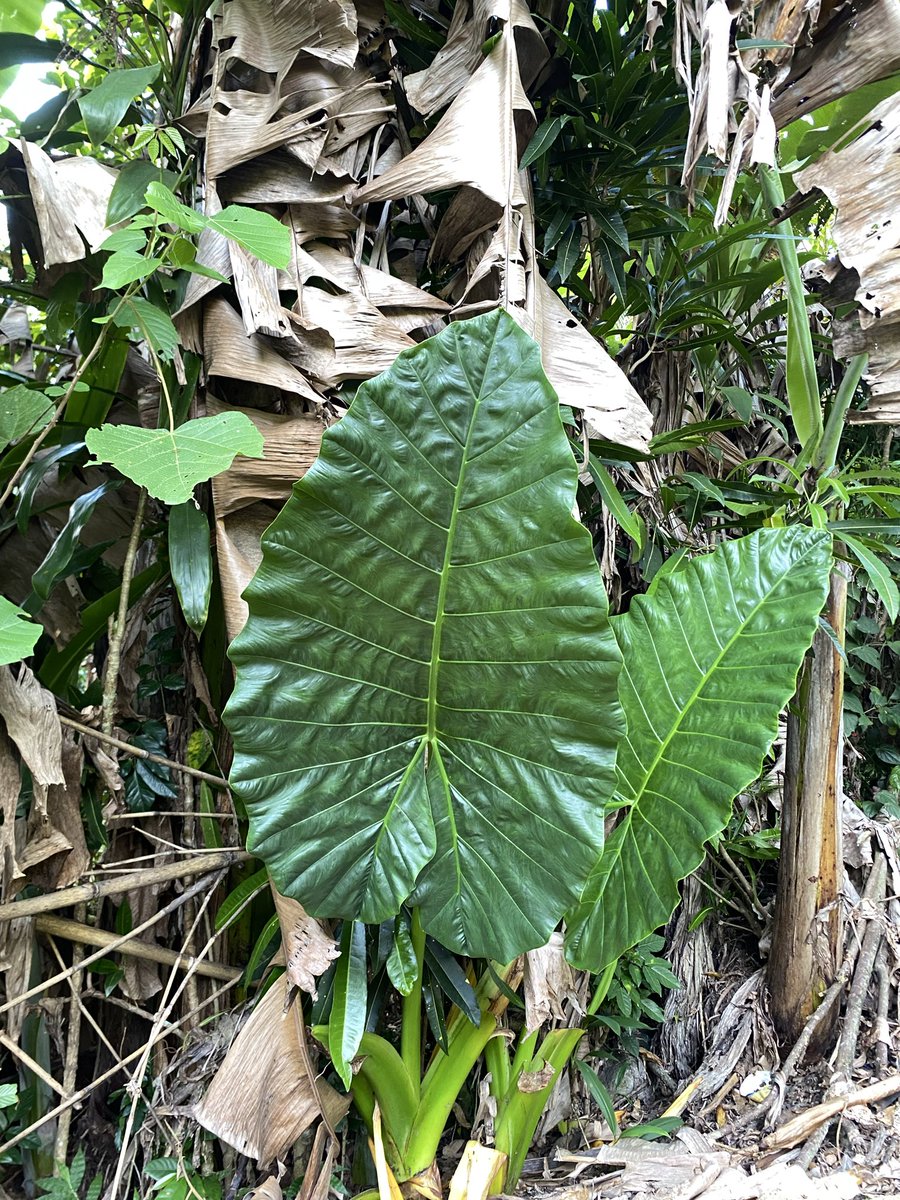 lelelele | booktwt📚🍉 tweet media