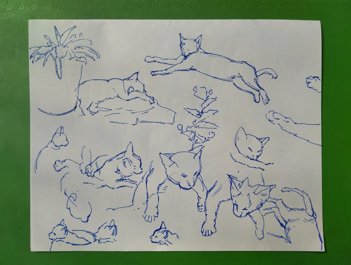 lifelines21's tweet photo. #Analogue sketches
Pen on paper https://t.co/JmkiUadCGl