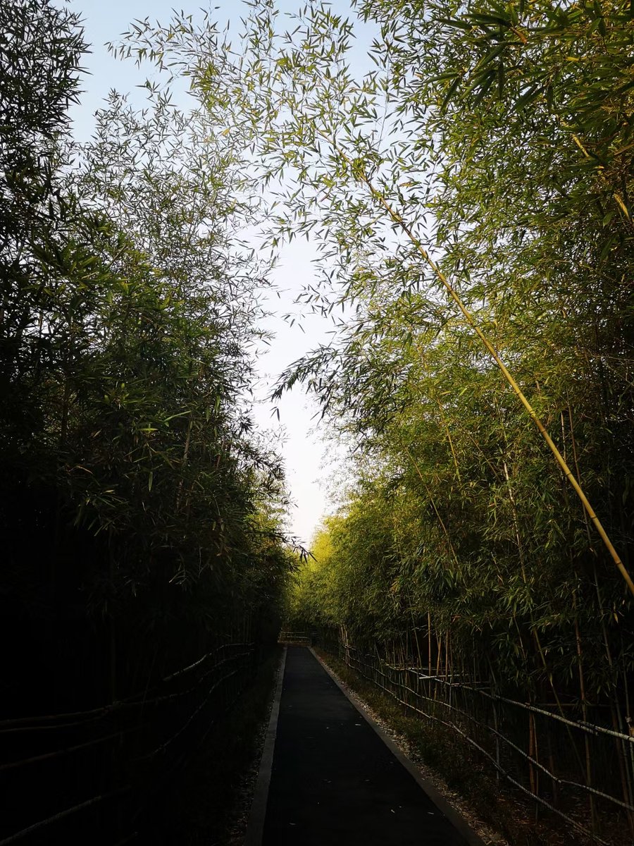 Lisa Dobbie tweet media