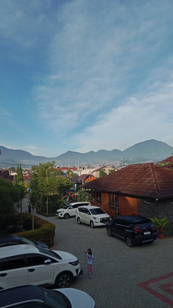 ೀbibil tweet media