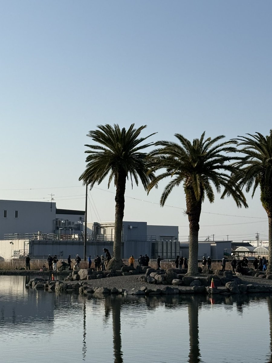 ハンちゃん tweet media