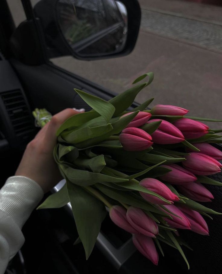 Tulips Library tweet media