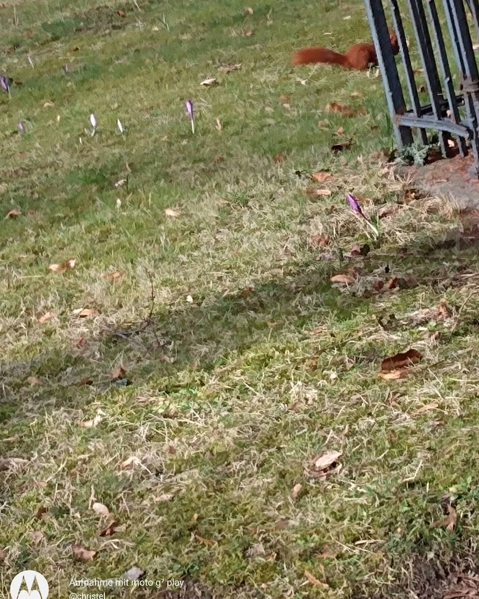 Christel ( Stine) tweet media