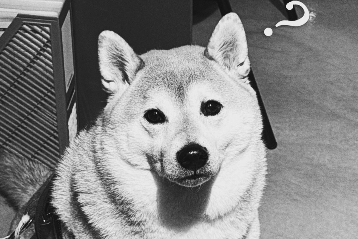 𝙀𝙇𝙇𝙀𝙉𝙊𝙍𝘼 FLEUR. tweet media