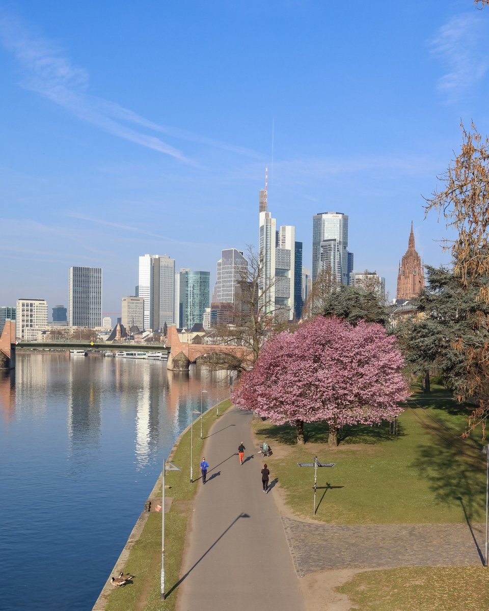 Frankfurt am Main tweet media
