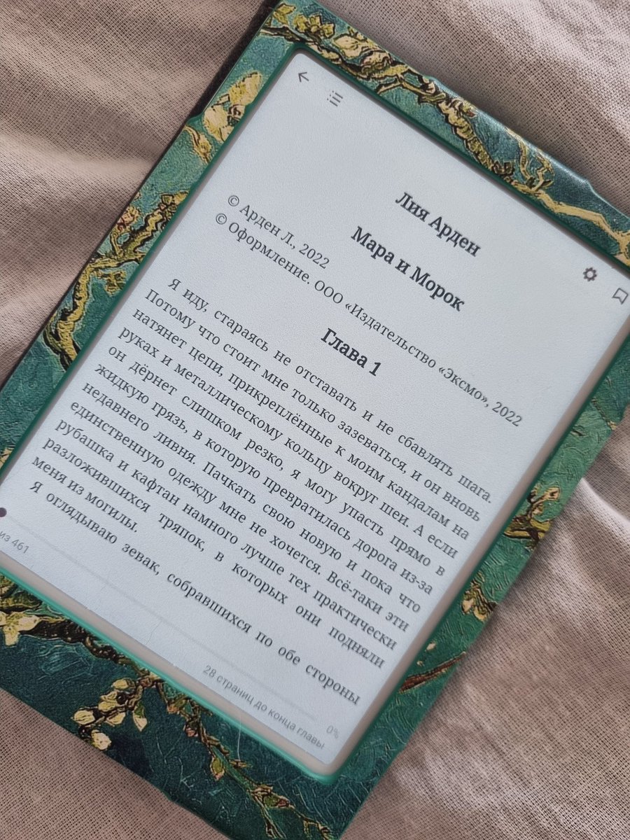 котанесса 🐾 tweet media