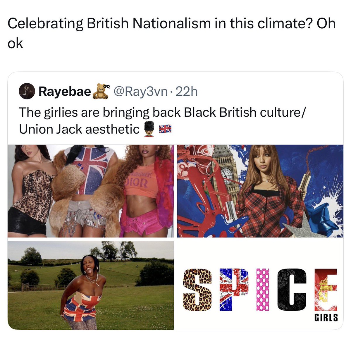 didyoujustsaywig tweet media