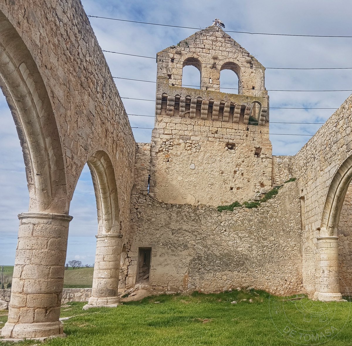 Los viajes de Tomasa tweet media