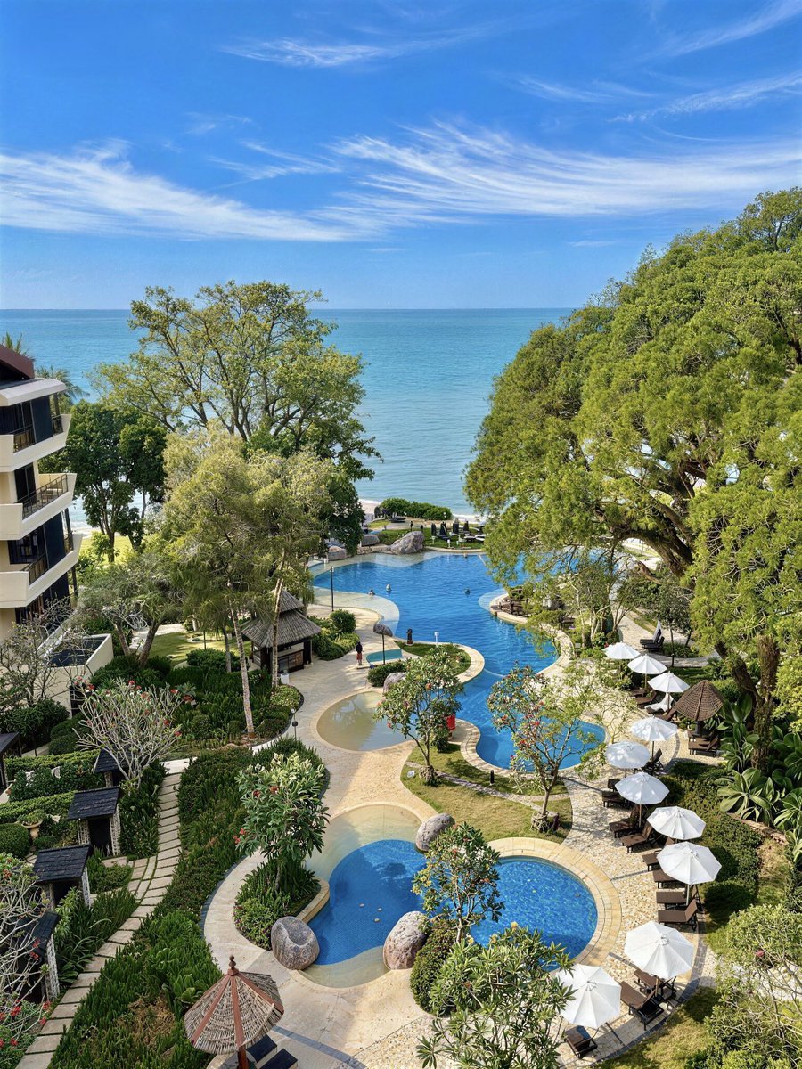 Noorie lova tweet media