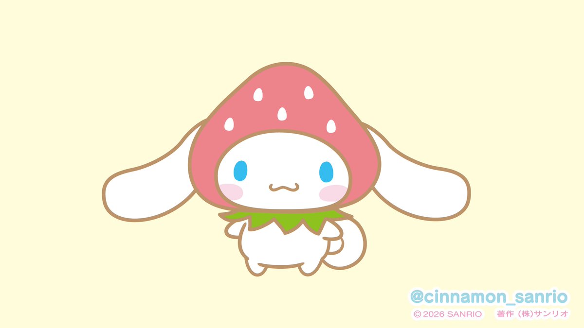 シナモン【公式】 tweet media