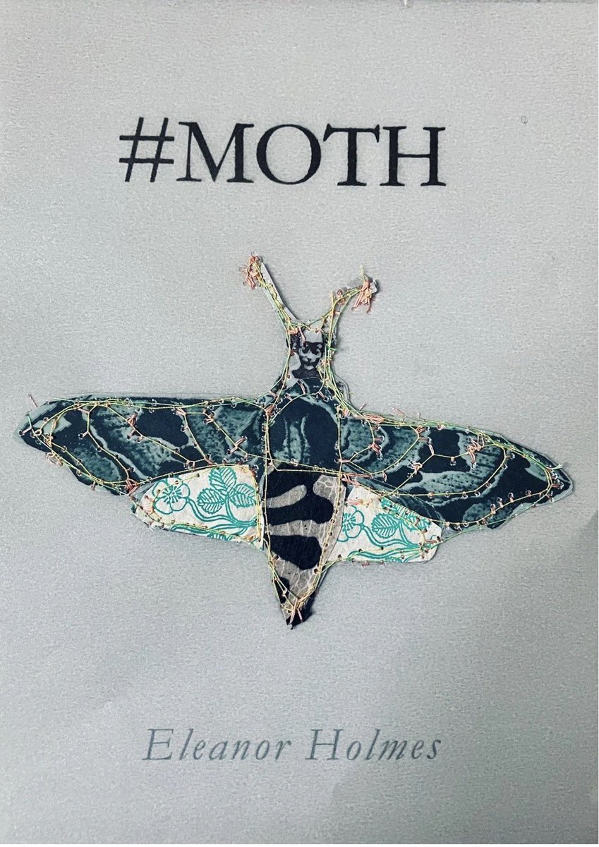 PaulWritesPoems's tweet image. Really excited to reading at the launch of @eliot_north immaculate new book #Moth published by @the_ethelzine in April. 

A fantastic lineup of poets. 

Full details and audience tickets here: shorturl.at/5Nm7I

#poetry #poetrycommunity