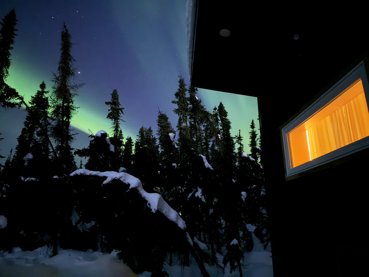 Yurchenko Fool tweet media