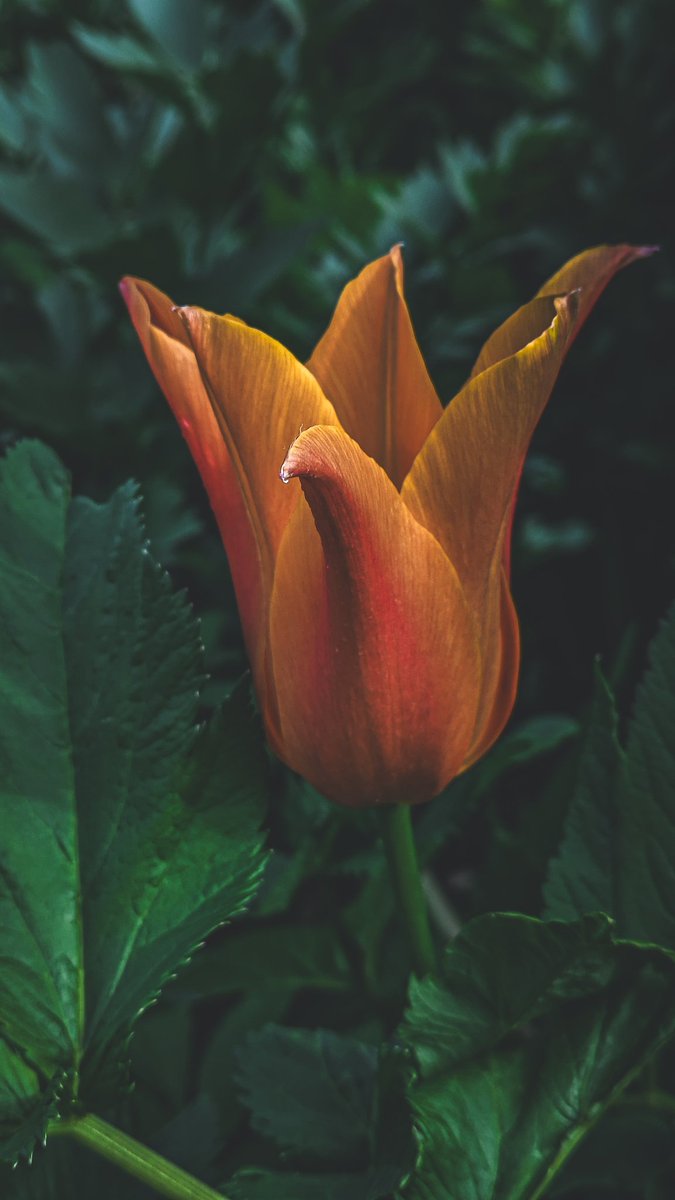 psychoticstate tweet media