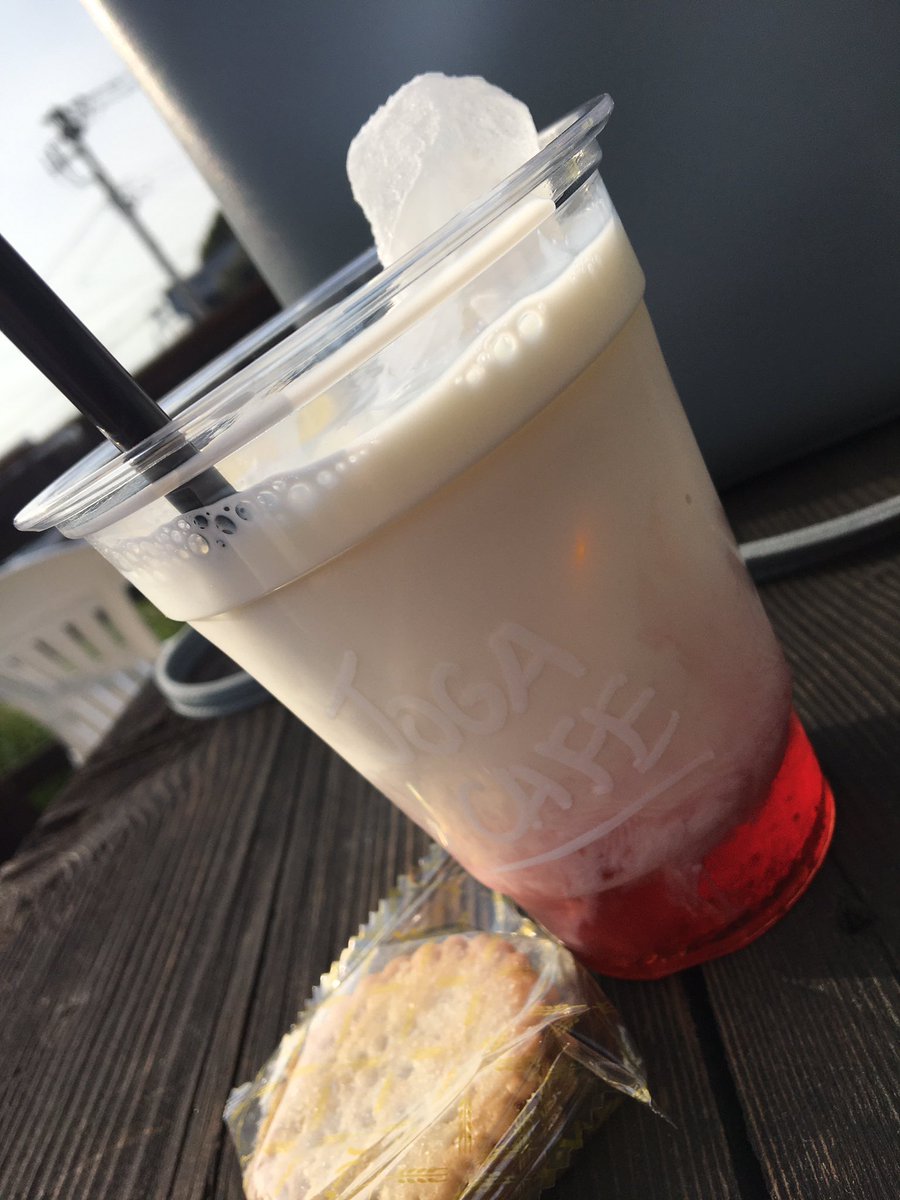 とむネコ(｡•ㅅ•｡) tweet media