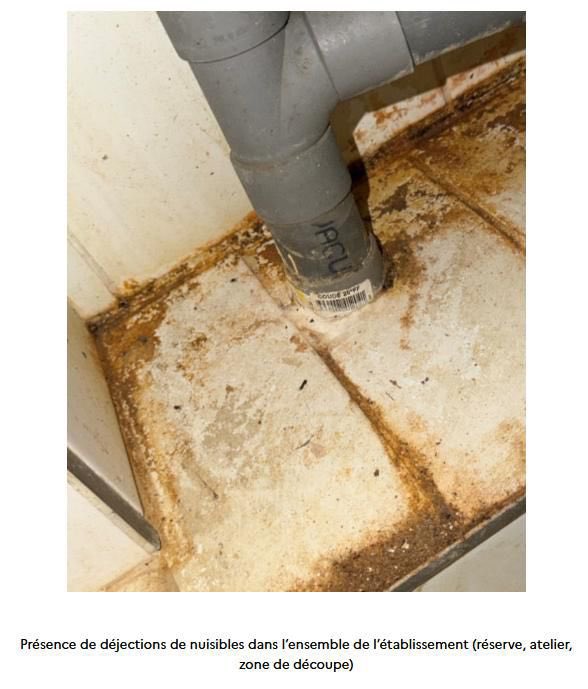 Image de Préfet du Val-d'Oise - 🛑 #Santépublique | Fermeture administrative décidée par Préfet du Val-d'Oise du commerce « Boucheri