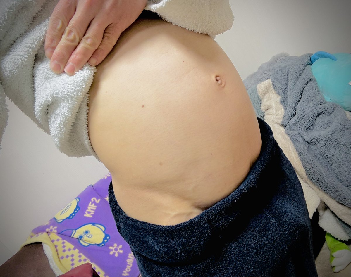 🦐エビィ・マーフィー tweet media