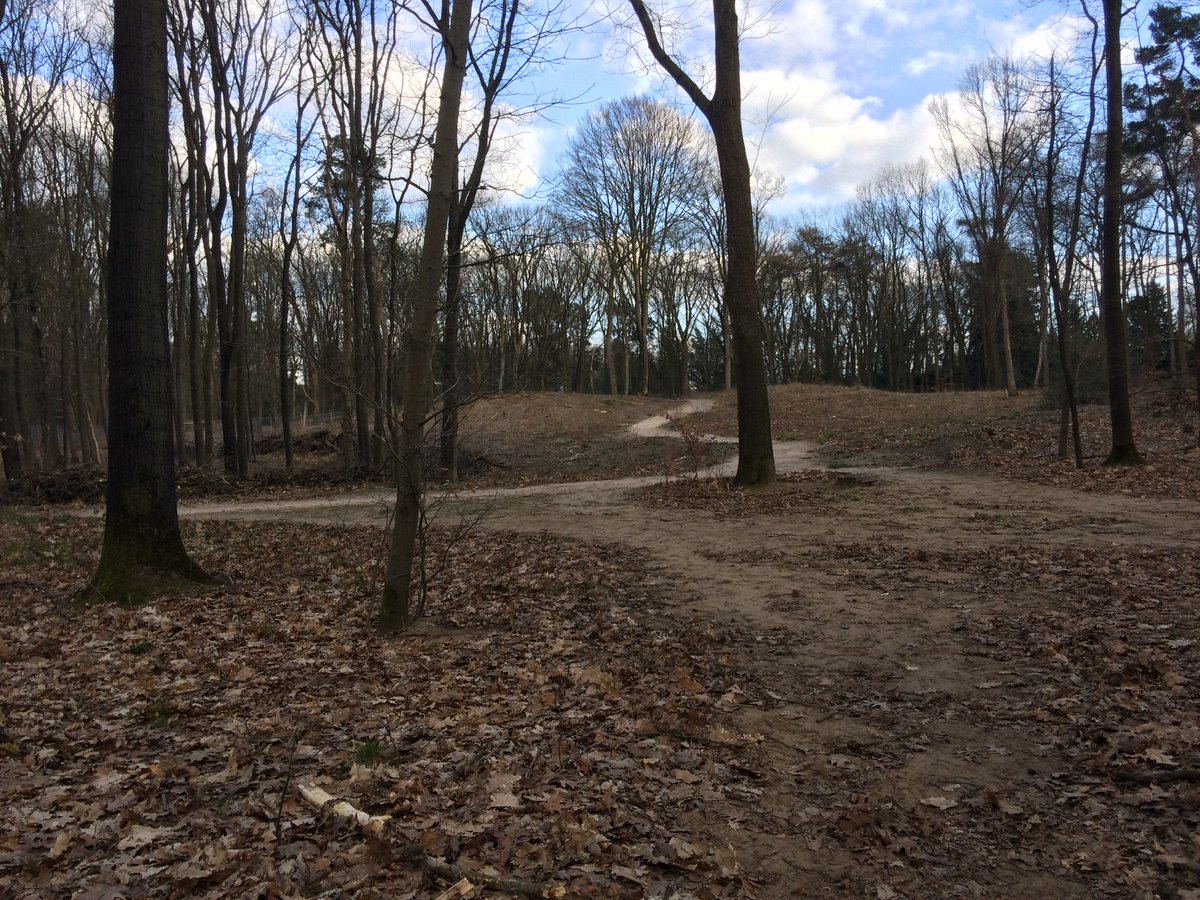 Otto von Braackenssieck tweet media