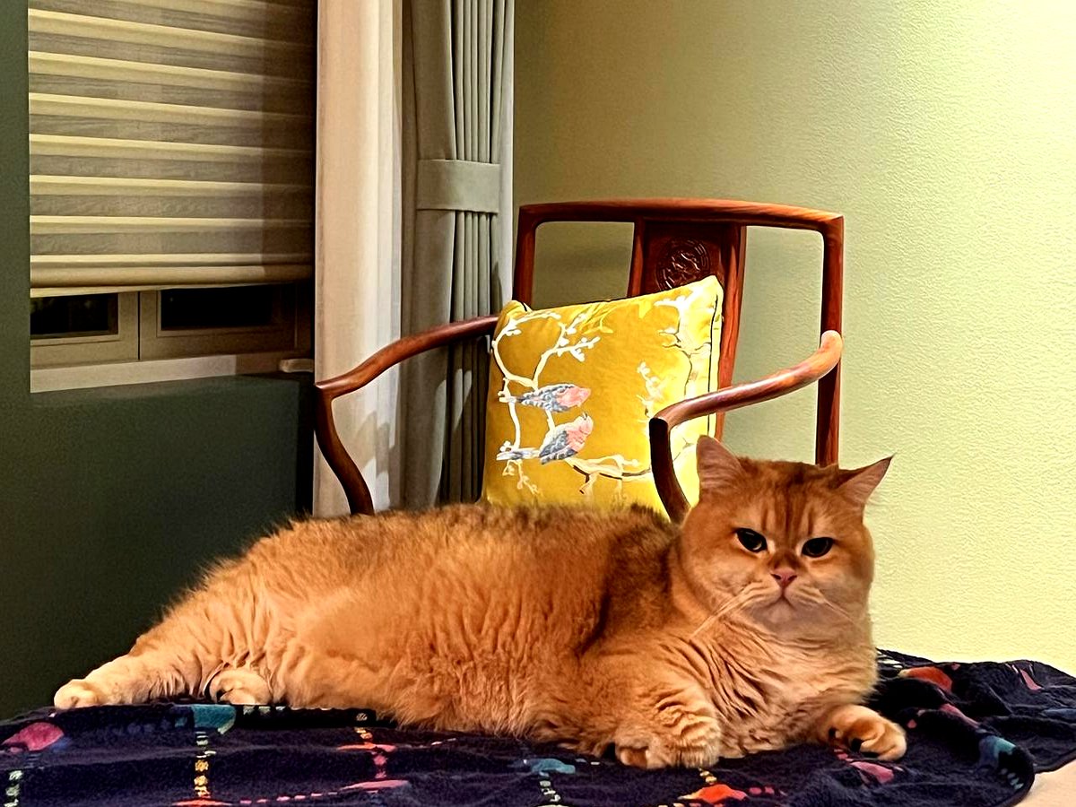 Jack Hall tweet media