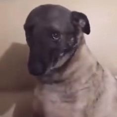 Emre Çubukcu tweet media