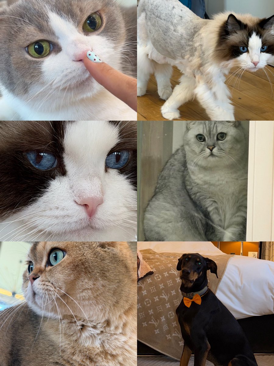 ʟɪ⁺¹⁹⁹⁵ : tweet media