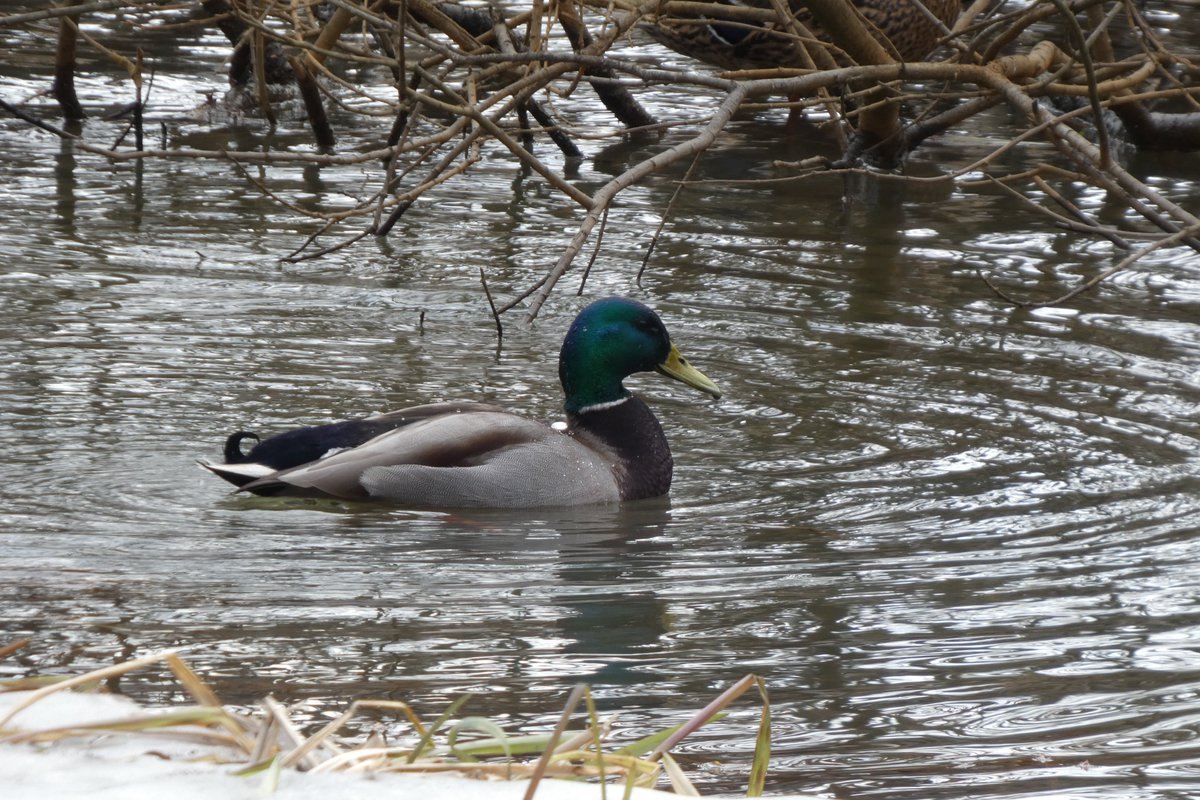 Patrick Hublin tweet media