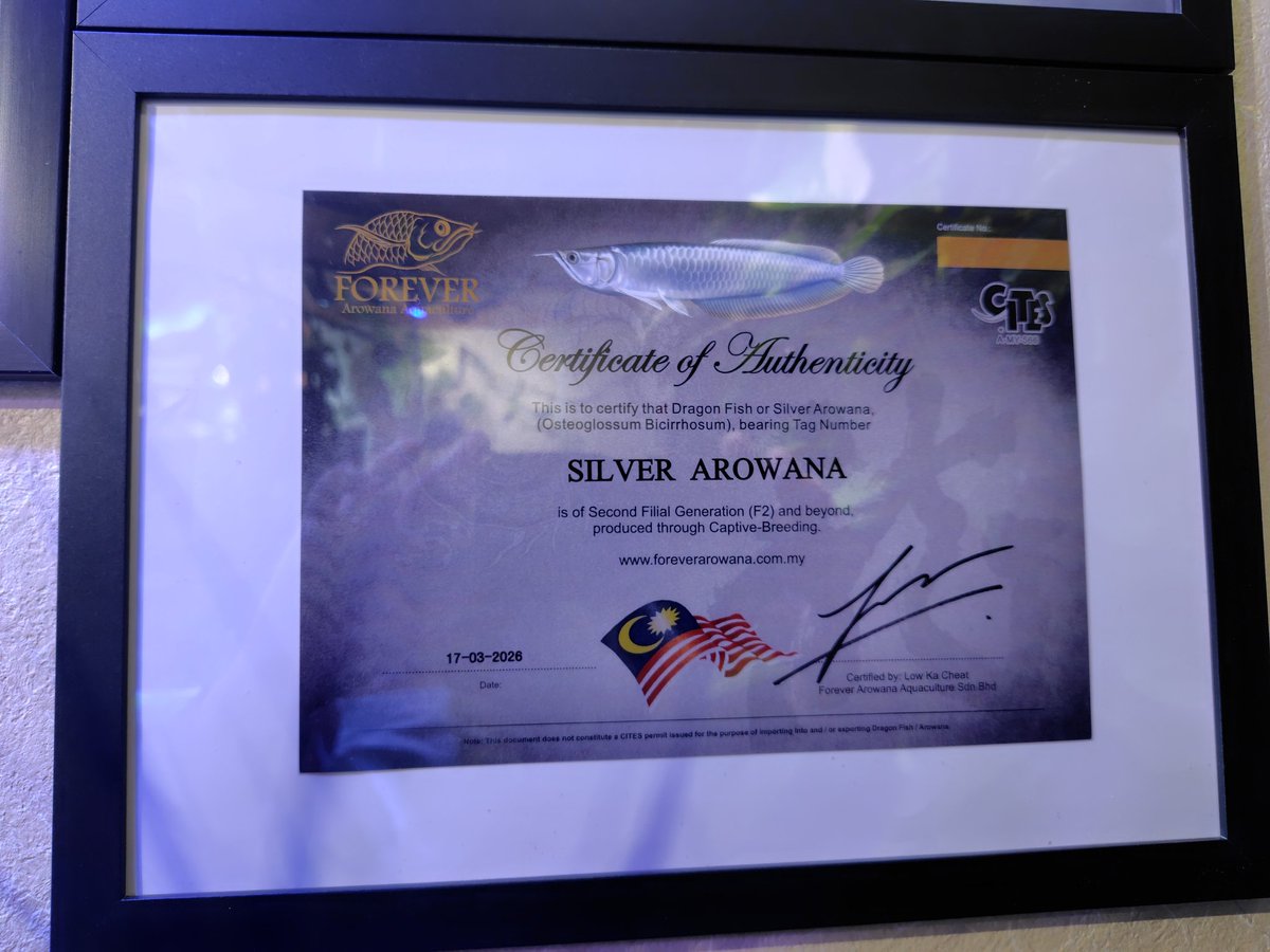 おろろ tweet media