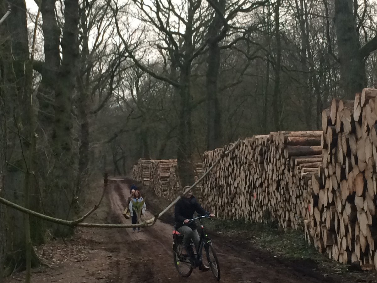 Otto von Braackenssieck tweet media