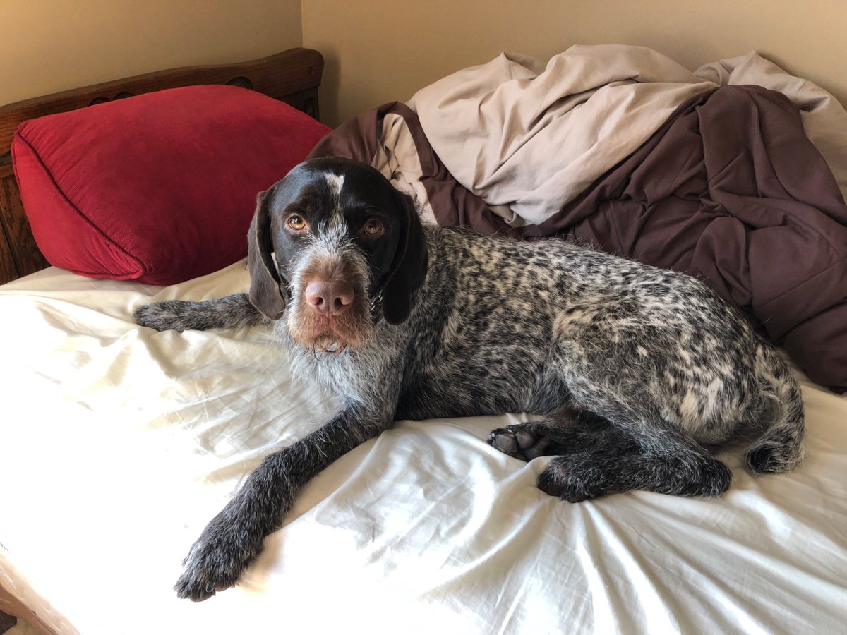 Christopher Stott tweet media