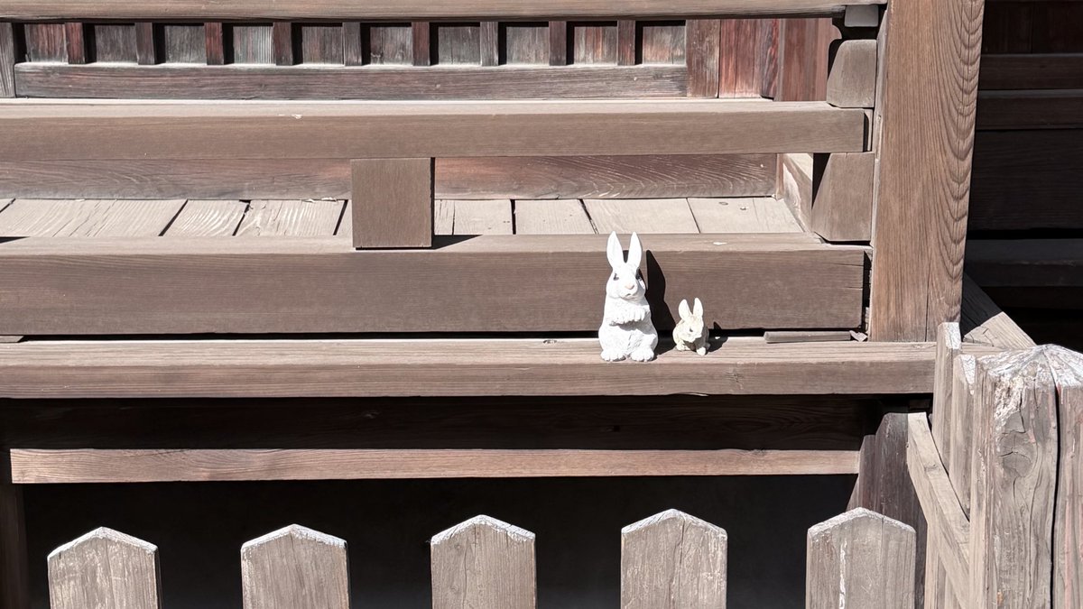 ᶜᴴᴬᴱ┈ ♡ﾞ tweet media