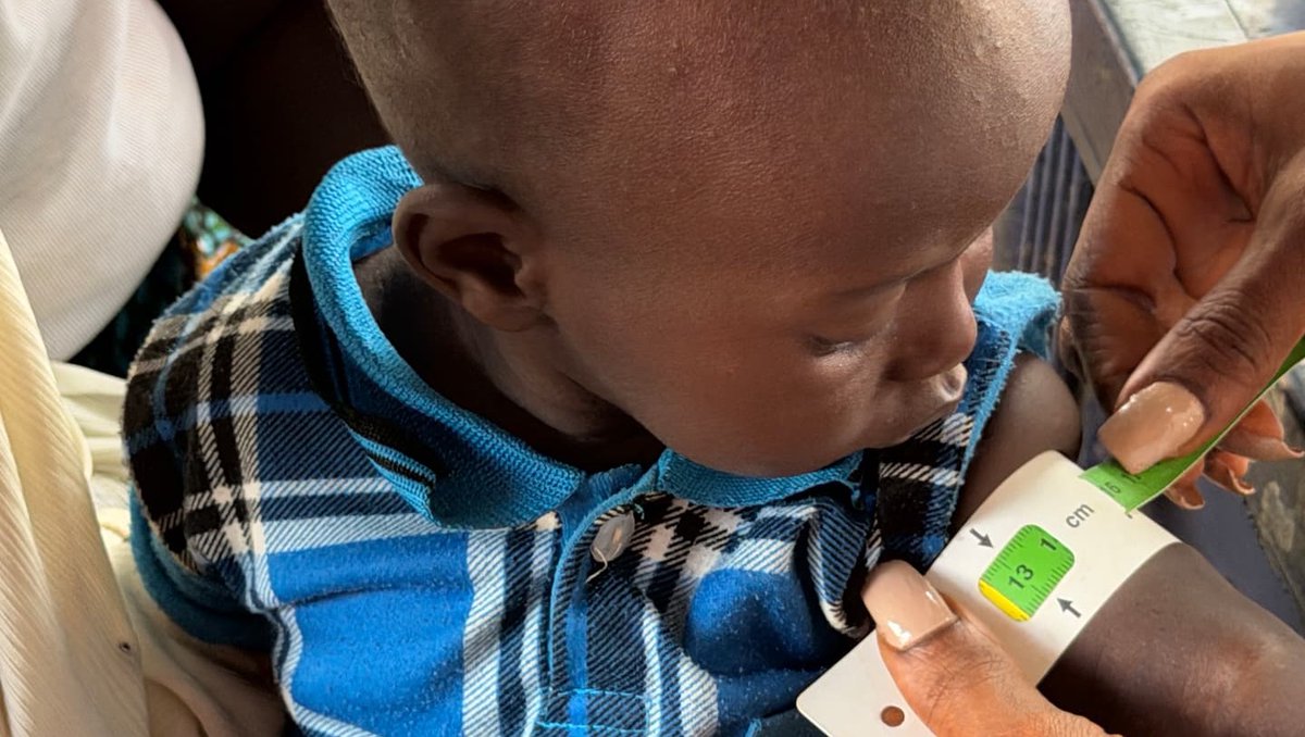 TY Danjuma Foundation tweet media