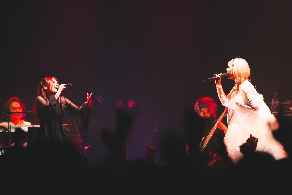 CHIHIRO(千尋)SKYWALKER🍻🏴‍☠️ tweet media