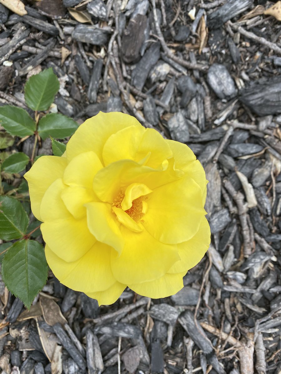 谢谢你的零支持，已读不回到block。我可以成为你无法想象的我。