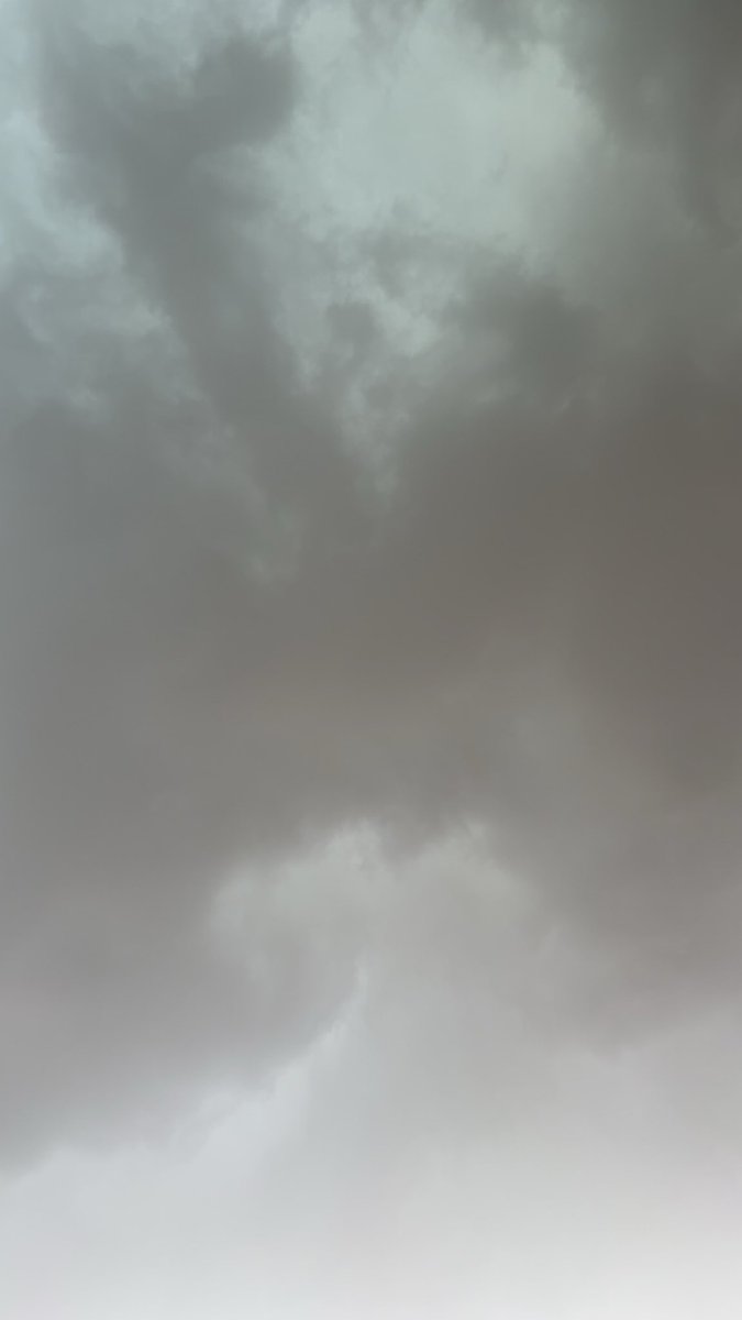 تووته الشلاقي tweet media