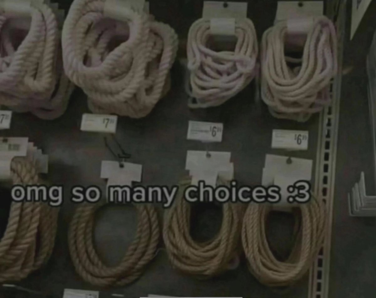 𓆝 𓆟 𓆞 𓆟 𓆝 tweet media