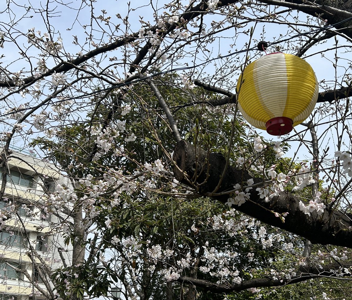 東京土建一般労働組合荒川支部 tweet media